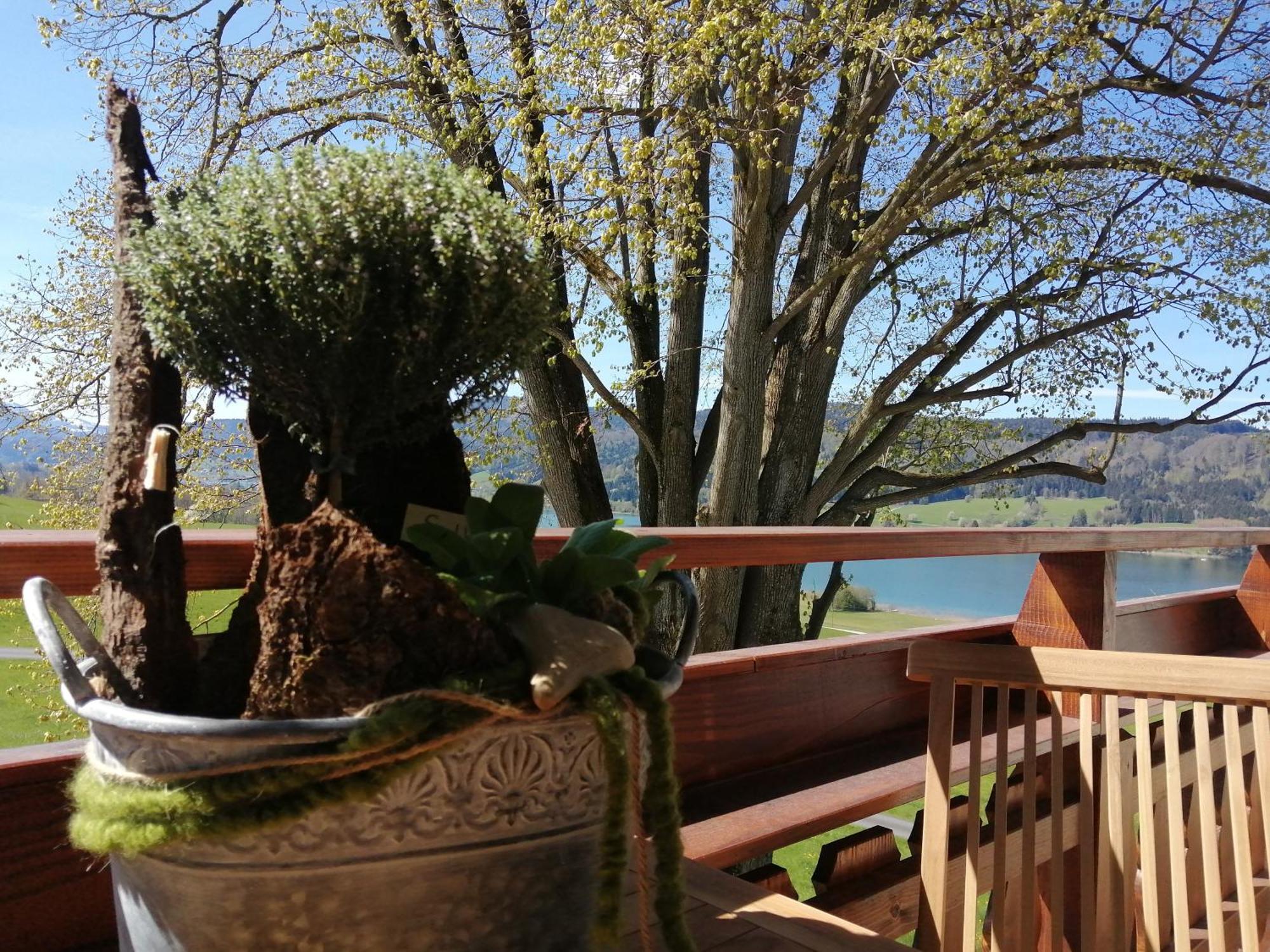 Roiderhof Irrsee Oberhofen am Irrsee Экстерьер фото