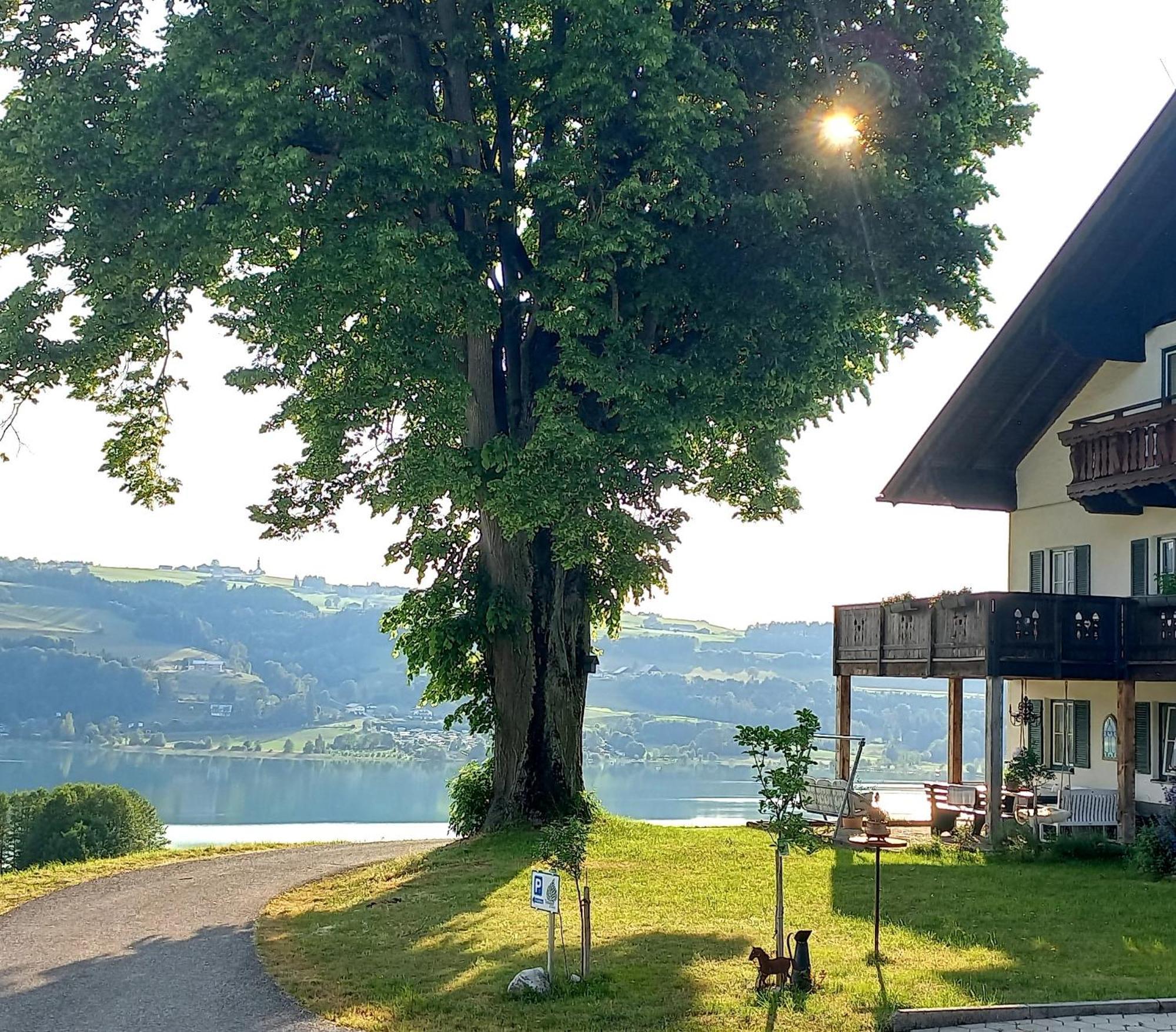 Roiderhof Irrsee Oberhofen am Irrsee Экстерьер фото
