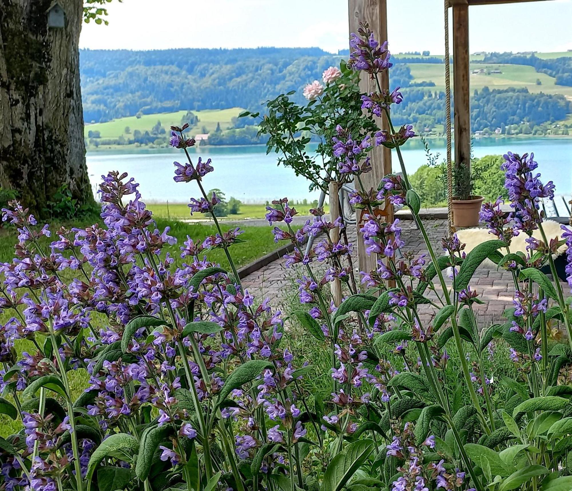 Roiderhof Irrsee Oberhofen am Irrsee Экстерьер фото
